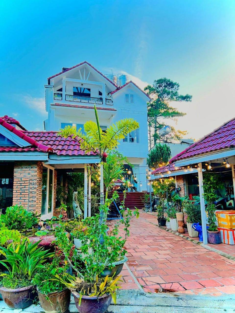 Hoa Chuong - Villa - Homestay Dalat Exteriör bild
