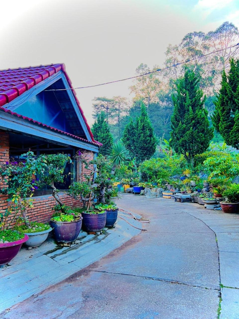 Hoa Chuong - Villa - Homestay Dalat Exteriör bild